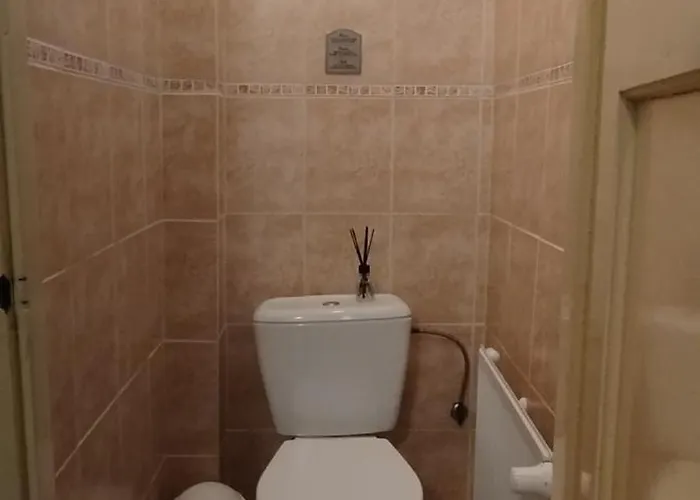 斯塔特克克鲁贝克酒店 * Chabičovice